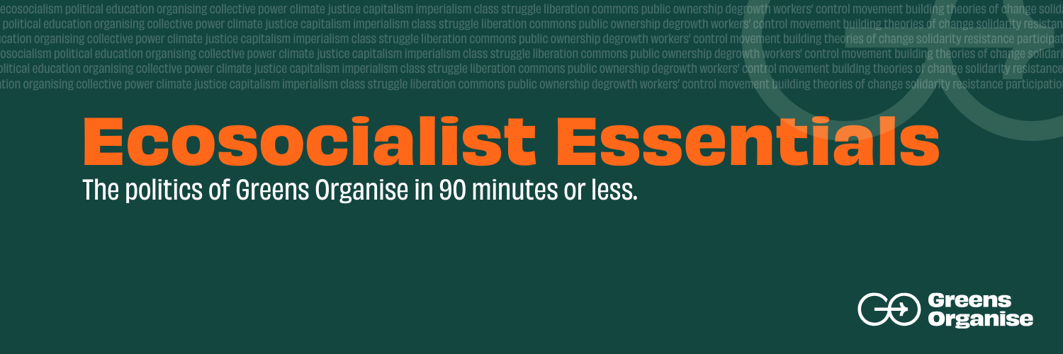 Ecosocialist Essentials – November: The politics of Greens Organise in 90 minutes
